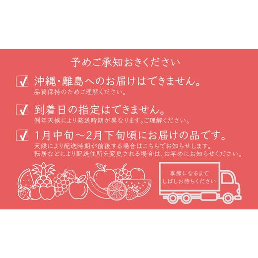 ふるさと納税 果物類 柿 長野県 松川町 MS44 市田柿 柿実 約500g（ご自宅用）／ 2027年1月中旬〜2月下旬頃 配送予定 ／／ 長野県 南信州 干し柿 干柿 高糖度 …_9