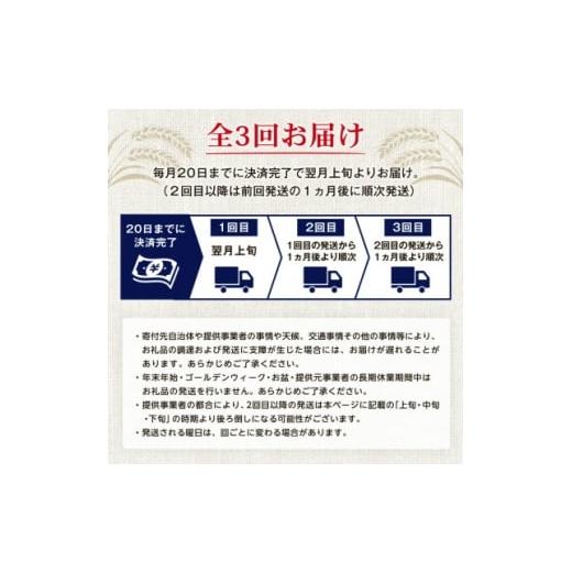 ふるさと納税 ビール 沖縄県 国頭村  毎月定期便 オリオン ザ・プレミアム(350ml×24本)全3回 4062057の画像