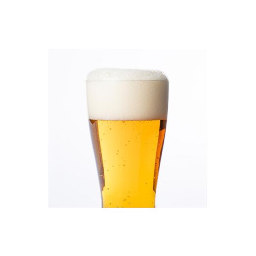 ふるさと納税 ビール 地ビール 京都府 与謝野町  毎月定期便 与謝野町産ホップ使用クラフトビール ASOBI　350ml ×12本セット全3回 4058785_3
