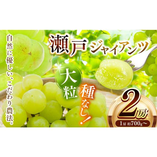 ふるさと納税 ぶどう 兵庫県 上郡町 瀬戸ジャイアンツ 2房 (1房約700g〜) | フルーツ ぶどう ブドウ 葡萄 皮ごと 果物 くだもの 種なし 兵庫県 上郡町 2房 |…
