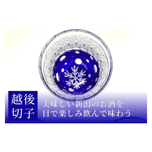 E4系 Maxとき ラストラン新潟限定発売 ぐい呑み 光沢無し 光沢あり セット ふるさと納税 陶磁器・漆器・ガラス 新潟県 湯沢町 越後切子 ぐい呑み