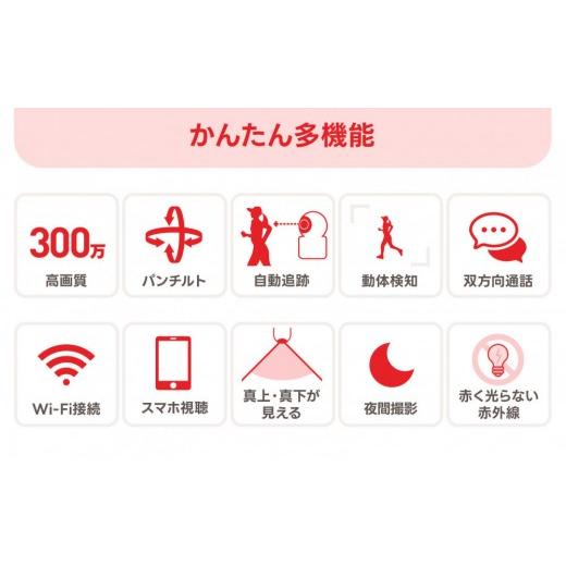 ふるさと納税 TV・オーディオ・カメラ 三重県 鈴鹿市 見守りペットカメラ 防犯カメラ ワイヤレス みてるちゃんNEKO245S 64GBMicroSD付_3