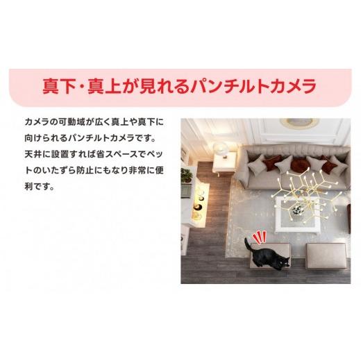 ふるさと納税 TV・オーディオ・カメラ 三重県 鈴鹿市 見守りペットカメラ 防犯カメラ ワイヤレス みてるちゃんNEKO245S 64GBMicroSD付_4
