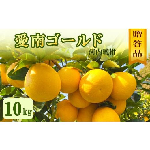 ふるさと納税 みかん・柑橘類 愛媛県 愛南町 贈答用 愛南ゴールド(河内晩柑)約10kg みかん 蜜柑 河内晩柑 グレープフルーツ ギフト 贈答品 お祝い プレゼン…