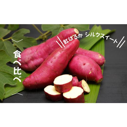 ふるさと納税 野菜類 サツマイモ 北海道 増毛町 8-005-004 さつまいも食べ比べ(紅はるか・シルクスイート)2kg マルゼン佐藤果樹園