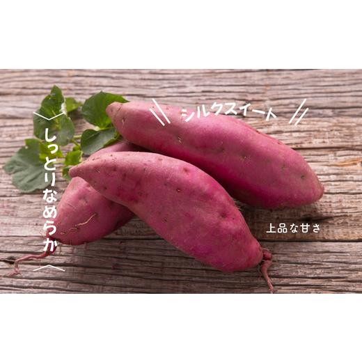 ふるさと納税 野菜類 サツマイモ 北海道 増毛町 8-005-003 さつまいも(シルクスイート)2kg マルゼン佐藤果樹園