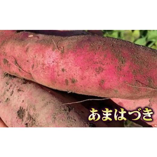 ふるさと納税 野菜類 サツマイモ 北海道 増毛町 8-012-008 さつまいも（あまはづき）5kg マルゼン佐藤果樹園の画像