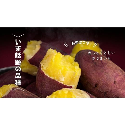 ふるさと納税 野菜類 サツマイモ 北海道 増毛町 8-012-008 さつまいも（あまはづき）5kg マルゼン佐藤果樹園の画像