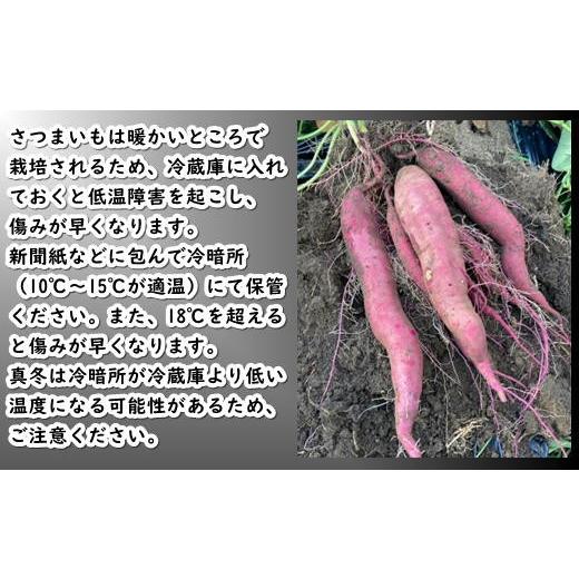 ふるさと納税 野菜類 サツマイモ 北海道 増毛町 8-012-008 さつまいも（あまはづき）5kg マルゼン佐藤果樹園の画像