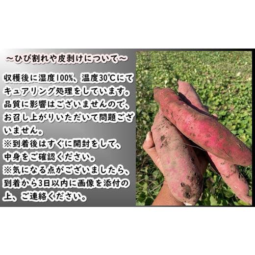 ふるさと納税 野菜類 サツマイモ 北海道 増毛町 8-012-008 さつまいも（あまはづき）5kg マルゼン佐藤果樹園の画像