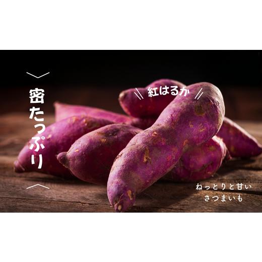 ふるさと納税 野菜類 サツマイモ 北海道 増毛町 8-005-002 さつまいも(紅はるか)2kg マルゼン佐藤果樹園