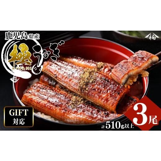 ふるさと納税 うなぎ 鹿児島県 志布志市 お中元7月 ギフト対応 楠田の極うなぎ 蒲焼き170g以上×3尾(計510g以上) b2-018-cg7 お中元(7月配送) 7月15日ま…