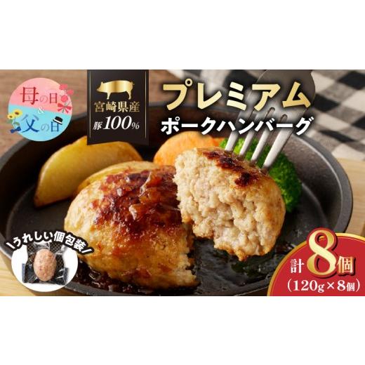 ふるさと納税 肉 ハンバーグ 宮崎県 都農町 父の日までにお届け 数量限定 宮崎県産豚プレミアムハンバーグ(計8個) 肉 豚肉 加工品 惣菜 国産_T001-0095-FA 父…