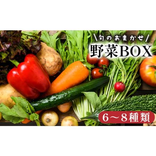 ふるさと納税 セット・詰合せ 京都府 舞鶴市 京都 舞鶴 季節の野菜BOX 詰め合せ セット 6〜8種類 : 季節の野菜 旬の野菜 旬野菜 新鮮 京野菜 食品 冷蔵 八百…