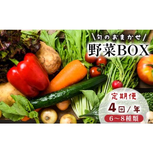 ふるさと納税 セット・詰合せ 京都府 舞鶴市 4回定期便 京都 舞鶴 季節の野菜BOX 詰め合せ セット 6〜8種類 年4回 定期便 : 季節の野菜 旬の野菜 旬野菜 新…