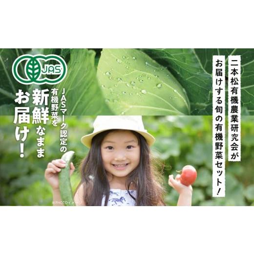ふるさと納税 野菜類 玉ねぎ 福島県 二本松市 《2026年7月以降順次発送》たまねぎ5kg オーガニック 有機栽培 有機 有機JAS 有機野菜 野菜 玉ねぎ たまねぎ 5kg…の画像