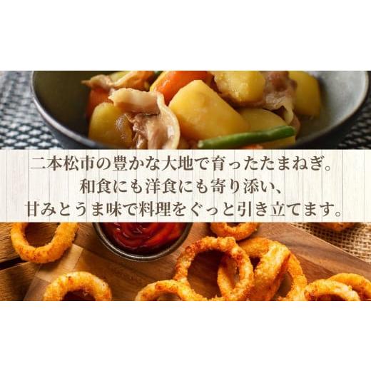 ふるさと納税 野菜類 玉ねぎ 福島県 二本松市 《2026年7月以降順次発送》たまねぎ5kg オーガニック 有機栽培 有機 有機JAS 有機野菜 野菜 玉ねぎ たまねぎ 5kg…の画像