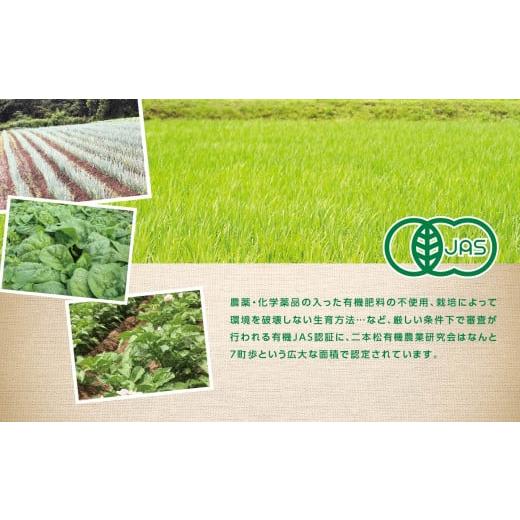 ふるさと納税 野菜類 玉ねぎ 福島県 二本松市 《2026年7月以降順次発送》たまねぎ5kg オーガニック 有機栽培 有機 有機JAS 有機野菜 野菜 玉ねぎ たまねぎ 5kg…の画像