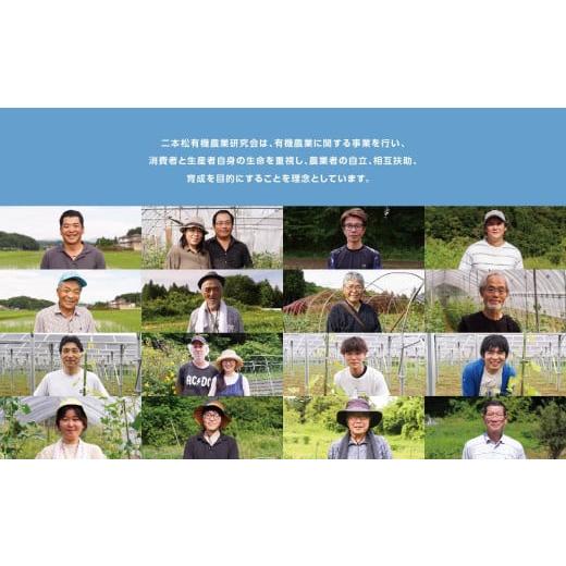 ふるさと納税 野菜類 玉ねぎ 福島県 二本松市 《2026年7月以降順次発送》たまねぎ5kg オーガニック 有機栽培 有機 有機JAS 有機野菜 野菜 玉ねぎ たまねぎ 5kg…の画像