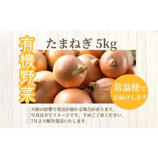 ふるさと納税 野菜類 玉ねぎ 福島県 二本松市 《2026年7月以降順次発送》たまねぎ5kg オーガニック 有機栽培 有機 有機JAS 有機野菜 野菜 玉ねぎ たまねぎ 5kg…の画像
