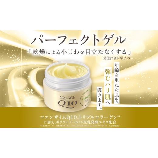 ふるさと納税 美容 千葉県 香取市 エムキュー エイジ パーフェクトゲル TA 100g 5個 ウィルミナ コエンザイム UMN044_2