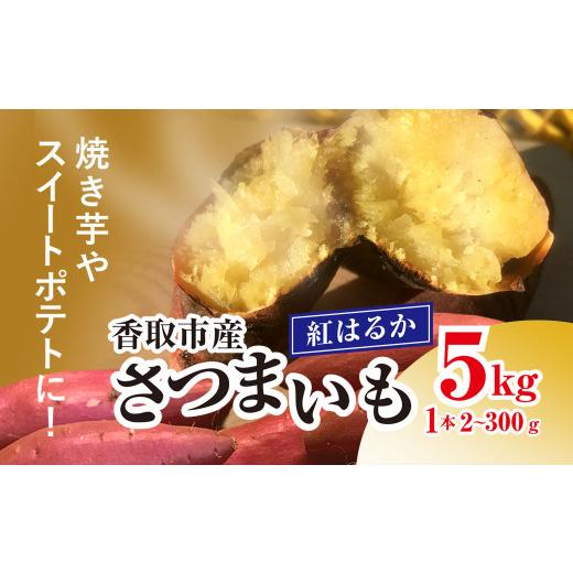 ふるさと納税 野菜類 サツマイモ 千葉県 香取市 香取市産 さつまいも 紅はるか 約5kg 1本2〜300g 焼き芋やスイートポテトにどうぞ / 芋 サツマイモ さつまい…