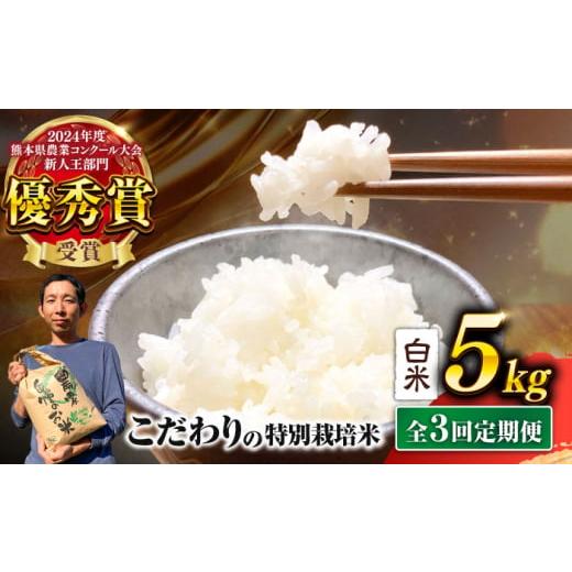 ふるさと納税 米 熊本県 合志市 令和7年度 全3回定期便 くまさんの輝き 白米 5kg 計15kg 米 こめ コメ お米 はくまい 精米 坂本農園
