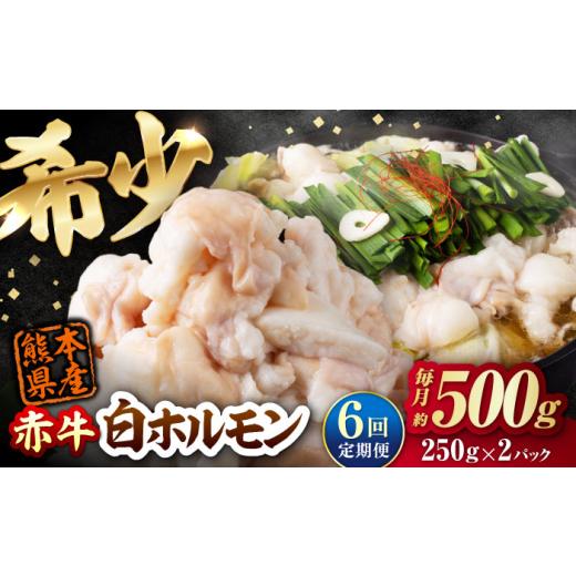 ふるさと納税 牛肉 ホルモン 熊本県 合志市 全6回定期便 赤牛 ホルモン 500g(250g×2パック) / お肉 肉 牛肉 あか牛 小腸 シロホルモン もつ 熊本県産 冷…