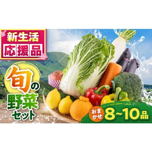 ふるさと納税 セット・詰合せ 熊本県 合志市 旬の野菜 おまかせ 詰め合わせ セット 8〜10品目 / やさい 産地直送 野菜 新鮮 詰め合わせ 採れたて 春野菜 夏野…