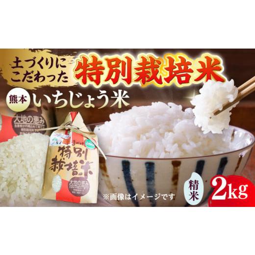 ふるさと納税 米 熊本県 合志市 いちじょう 米(品種 にこまる) 精米 2kg 熊本県産 お米 白米 一般社団法人クラッシーノこうし
