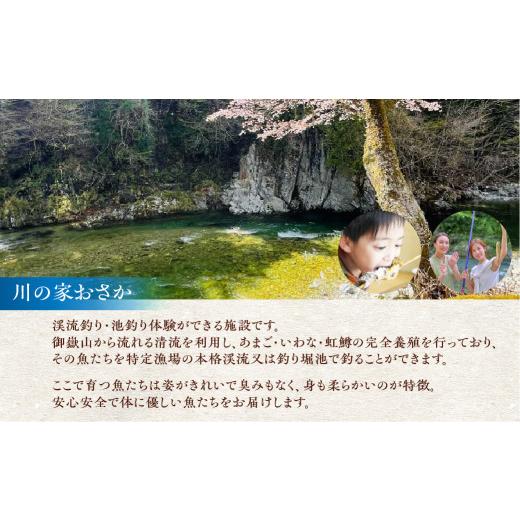 ふるさと納税 川魚 いわな 岐阜県 下呂市 川魚 食べ比べセット（5尾入り　各1袋）計15尾（あまごひらき・いわなひらき・虹鱒ひらき） 真空 冷凍 魚 アマゴ イ…