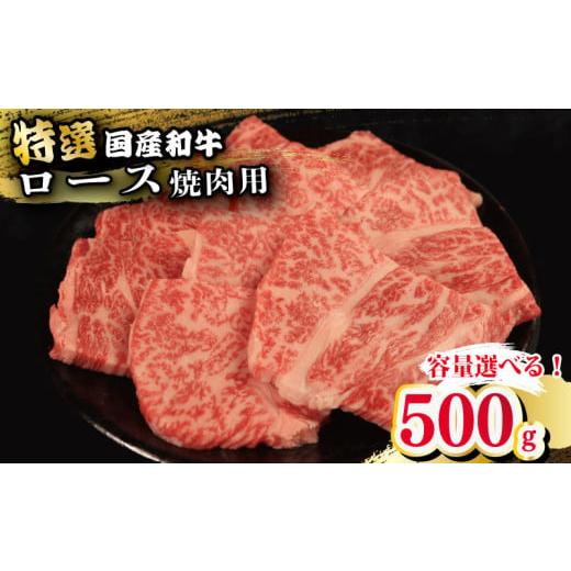 ふるさと納税 牛肉 ロース 徳島県 吉野川市 牛肉 特選 ロース 焼肉用 500g えらべる容量 焼肉 国産和牛 和牛 焼き肉 赤身 にく ぎゅう うし バーベキュー BBQ …