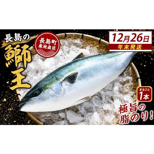 ふるさと納税 魚貝類 鹿児島県 長島町 ＼年末発送 先行予約/ 12月26日発送 鰤王ラウンド(約3.5kg〜)テレビで紹介ぶりの王様「 鰤王 」 まるごと 1本 ラウン…