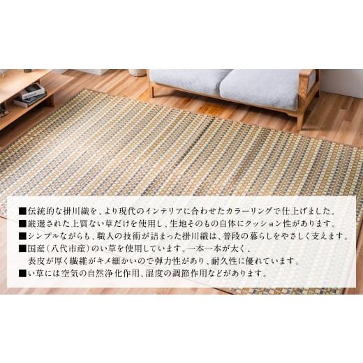 雑貨・日用品 インテリア 熊本県 八代市 【渡部】 熊本県八代市産のい草を使って丹精込めて織り上げた『タロ』(サイズ：江戸間2畳)(カラー：ベージュ) 国…