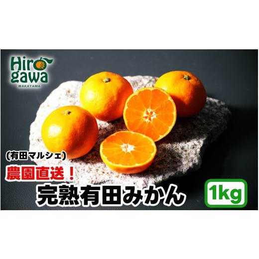 ふるさと納税 果物類 みかん 和歌山県 広川町 農園直送 完熟 有田 みかん 1kg+200g(傷み補償分) 2026年11月発送予定 秀・優混合 SSサイズ〜Lサイズ混合 北海道…