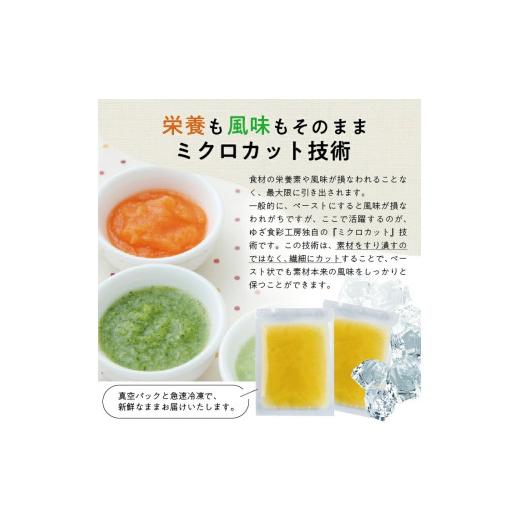 ふるさと納税 ねぎ・玉ねぎ 山形県 遊佐町 冷凍玉ねぎペースト2.0kg(500g×4袋) 冷凍便 離島発送不可 冷凍 たまねぎ 玉ねぎ 玉葱 野菜 野菜ペースト 離乳食 介…の画像