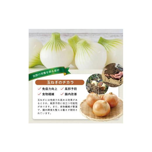 ふるさと納税 ねぎ・玉ねぎ 山形県 遊佐町 冷凍玉ねぎペースト1.5kg(500g×3袋) 冷凍便 離島発送不可 冷凍 たまねぎ 玉ねぎ 玉葱 野菜 野菜ペースト 離乳食 介…の画像