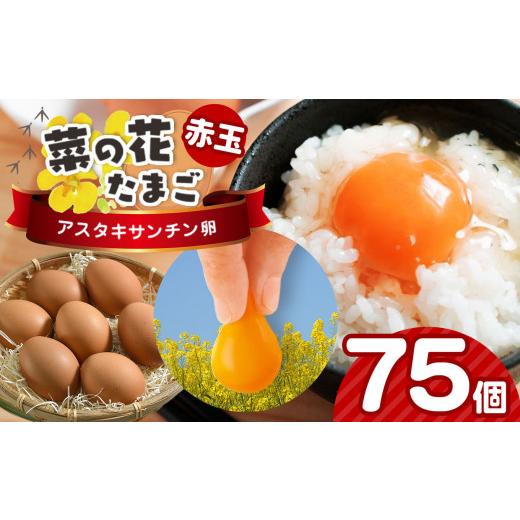 ふるさと納税 卵(鶏、烏骨鶏等) 千葉県 君津市 赤玉アスタキサンチン卵 75個|たまご 玉子 菜の花エッグ 自社農場 定期便 すぐ発送 常温 抗酸化 健康 新鮮 …