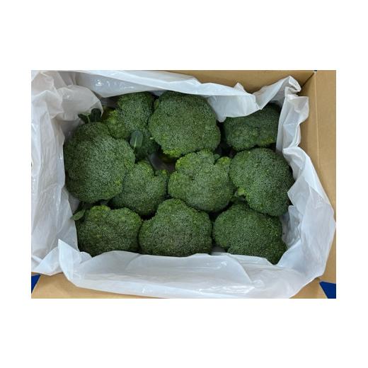 ふるさと納税 野菜類 鳥取県 倉吉市 10月中旬〜12月上旬発送 倉吉市朝どれブロッコリー（3kg） 10月中旬〜12月上旬