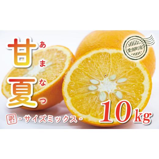 ふるさと納税 みかん・柑橘類 愛媛県 愛南町 訳あり 甘夏 10kg サイズミックス 8000円 みかん 愛媛 ミカン mikan 蜜柑 わけあり あまなつ 夏みかん だいだい …