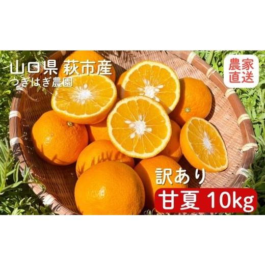 ふるさと納税 みかん・柑橘類 山口県 萩市 みかん 甘夏 10kg 『つぎはぎ農園日記』セット 果物 柑橘 ミカン フルーツ |HG000879