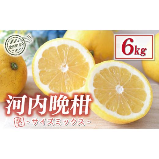 ふるさと納税 みかん・柑橘類 愛媛県 愛南町 訳あり 木成り 河内晩柑 樹齢 20年以上 6kg サイズミックス 7000円 みかん かわちばんかん ミカン mikan わけあり…