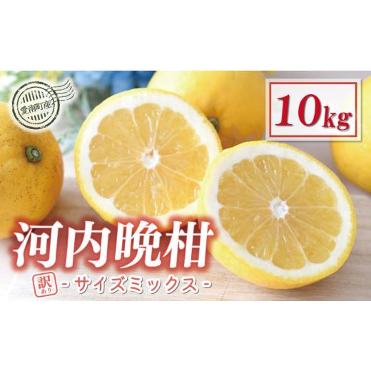 ふるさと納税 みかん・柑橘類 愛媛県 愛南町 訳あり 木成り 河内晩柑 樹齢 20年以上 10kg サイズミックス 10000円 みかん かわちばんかん ミカン mikan わけあ…