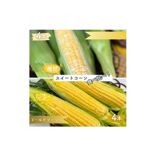 ふるさと納税 とうもろこし 千葉県 八街市 ドルチェドリーム ゴールドラッシュ とうもろこし2品種 食べ比べ 8本入り バイカラーとうもろこし 金色とうもろこ…