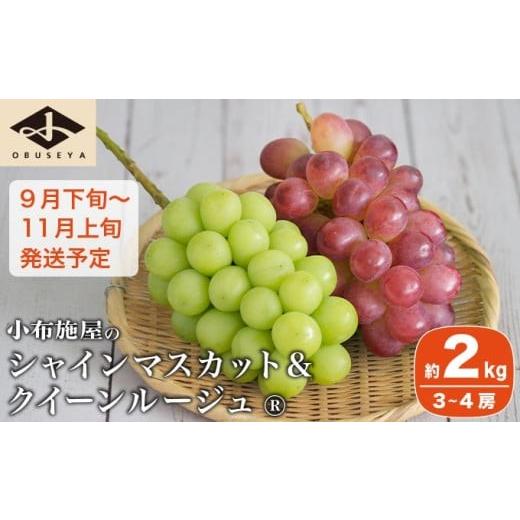 ふるさと納税 果物類 ぶどう 長野県 小布施町 シャインマスカット&クイーンルージュ_ 約2kg 3〜4房 [小布施屋] 果物 フルーツ ぶどう 葡萄 令和8年産 2026…