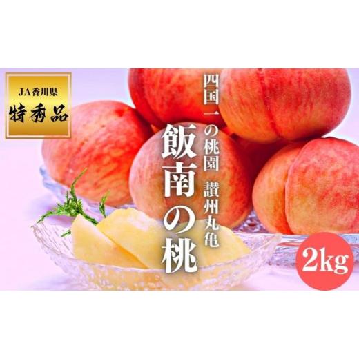 ふるさと納税 もも 香川県 丸亀市 2026年早期予約 特秀品 桃 約2kg(目安:6玉〜8玉) 讃州丸亀 飯南の桃 飯山 贈答箱 もも モモ 果物 くだもの 果実 フルーツ …