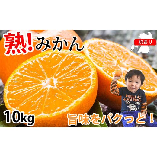 ふるさと納税 果物類 みかん 熊本県 熊本市 訳あり 計10kg ミカン 蜜柑