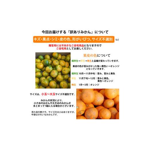 ふるさと納税 果物類 みかん 熊本県 熊本市 訳あり 計10kg ふるさと納税 果物類 みかん 熊本県 熊本市 訳あり 計10kg