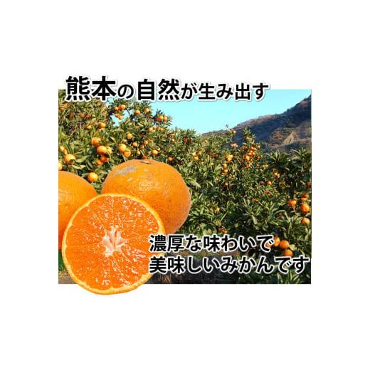 ふるさと納税 果物類 みかん 熊本県 熊本市 訳あり 計10kg ふるさと納税 果物類 みかん 熊本県 熊本市 訳あり 計10kg