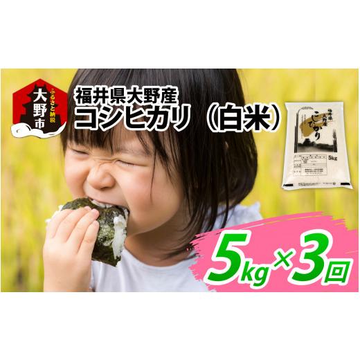ふるさと納税 米 コシヒカリ 福井県 大野市 3ヶ月定期便 令和7年産 福井県大野産コシヒカリ(白米)5kg×3回 計15kg